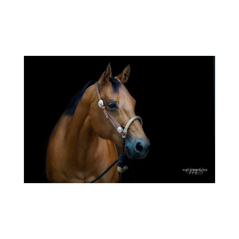 Westernwelt Bosal Set Mit Silber Conchas Und Nylon Mecate – Bild 4