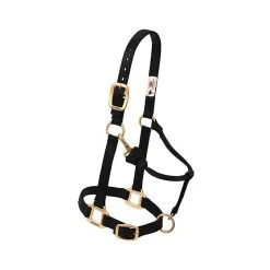 Westernwelt Weaver Halfter Premium